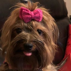 Meet your Posher, Jill